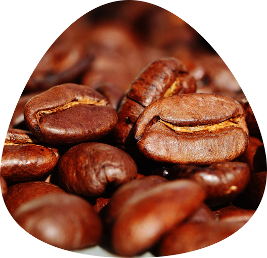 Light Roast Coffee Guyana